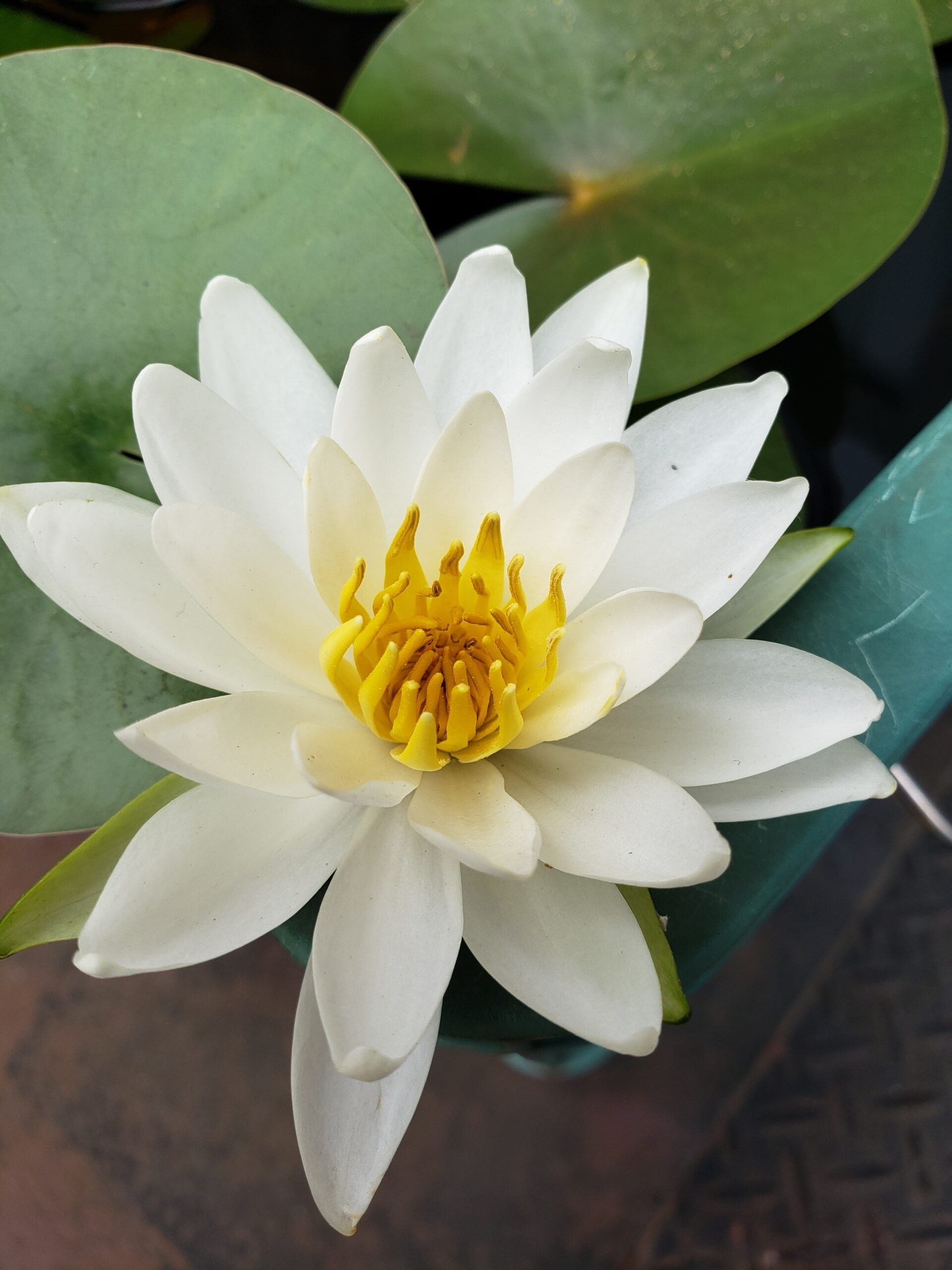 mikaのゆるっと成長日記